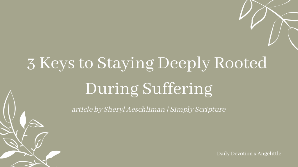 3 Keys to Staying Deeply Rooted During Suffering by Sheryl Aeschliman | Deeply Rooted Devotional series | Angelittle